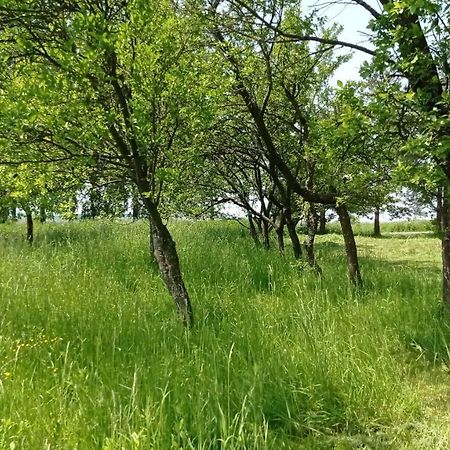 Oaza Milosci Lipinki  Exteriér fotografie