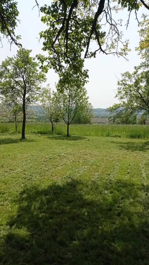 Oaza Milosci Lipinki  Exteriér fotografie